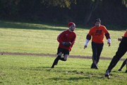 OTFL Gallery Image